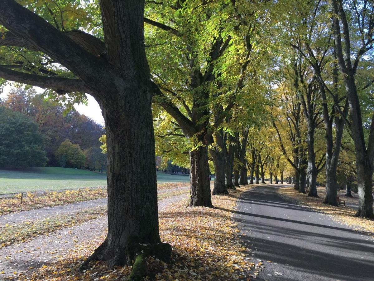 Suite Mit Blick Auf Die Lichtentaler Allee Baden-Baden Exterior photo